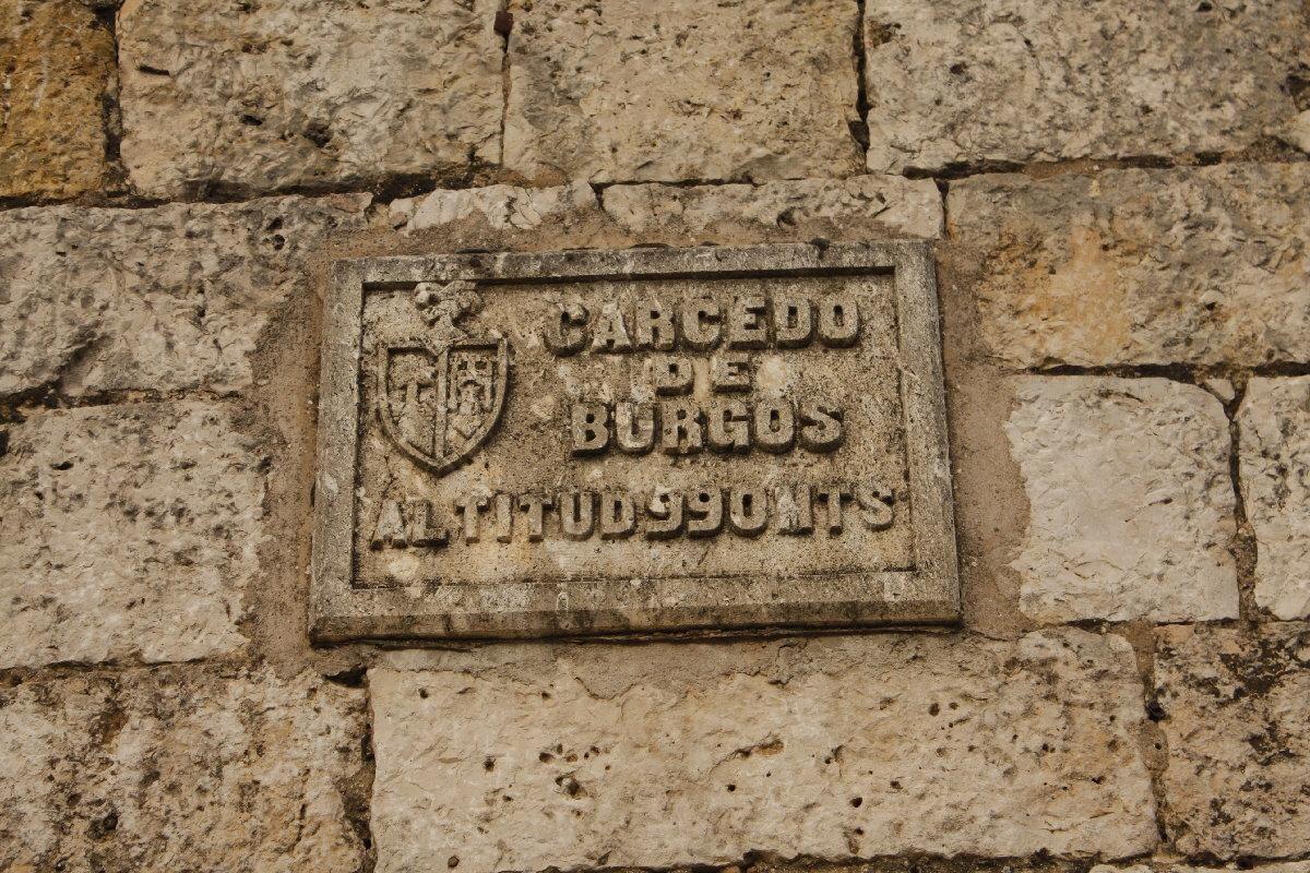 Fotografía de la galería de imágenes con id: 868